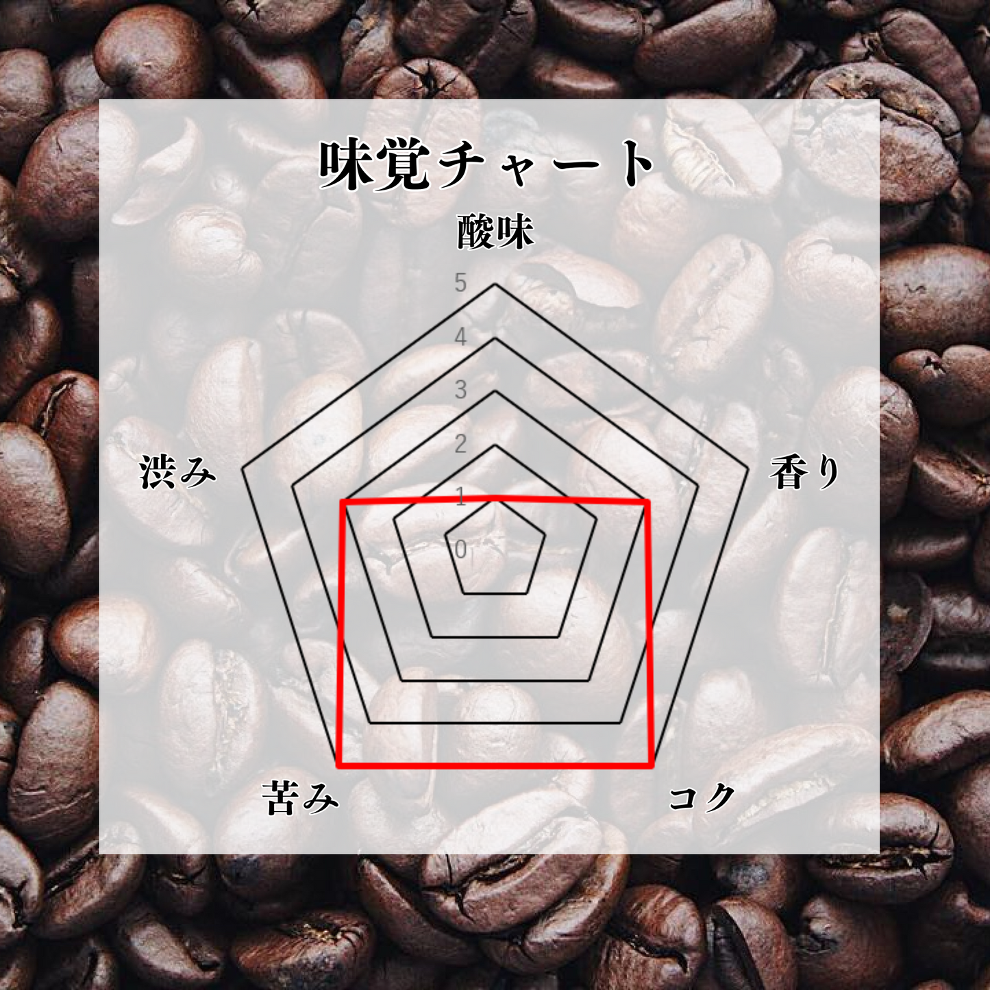 インドネシア セレベストラジャ 深煎り