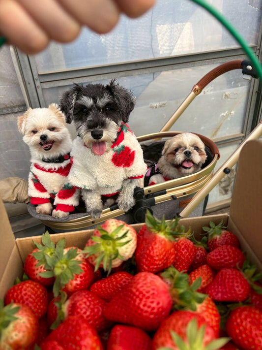 ２月の振り返り