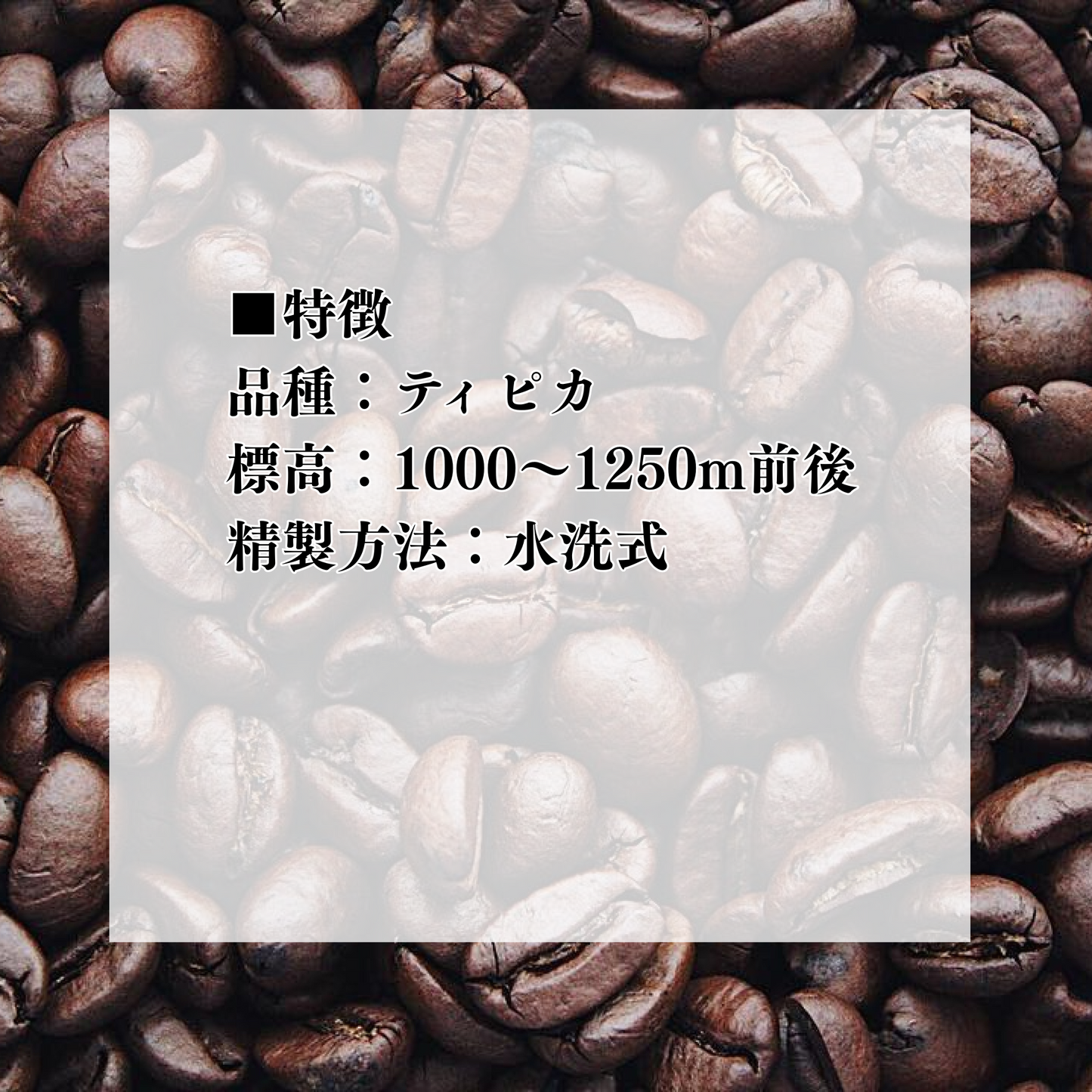 ジャマイカ ブルーマウンテンNo.1 中煎り